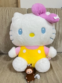💜ささきさき💜