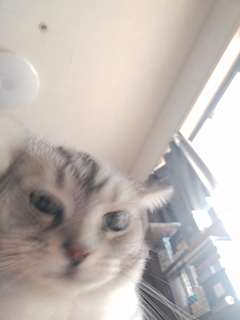 まりん