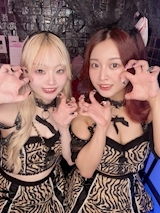 🐅りく🐅「やっほ～✨」