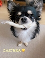 chiko