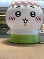 chiko
