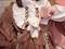 プロフィール写真4・はる🐺オオカミちゃんカフェ天満店🐺｜オオカミちゃんカフェ天満店 - 天満のガールズバー