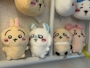 新着ブログ コンプリート🙂