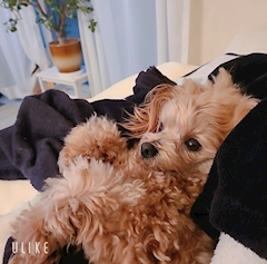 🤍🧸みか🧸🤍