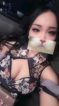 サニー「雨ですなぁ🌧️😗久々ハイポニー🐴💕」