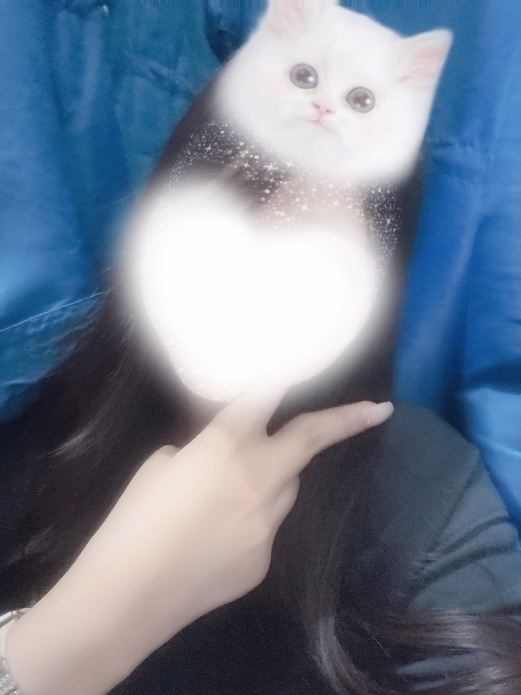 🌸いろは🌸