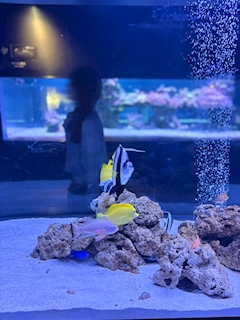 プロフィール写真3・🌸いろは🌸｜WIT・ウィット - 浅草・田原町のガールズバー