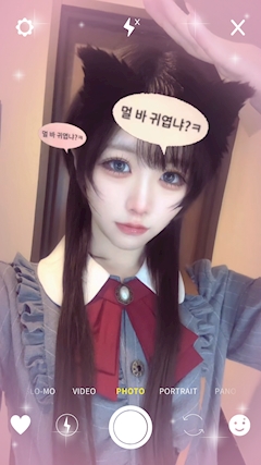 プロフィール写真1・たま（犬）｜シャロン - 武蔵小杉のコンカフェ