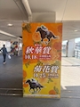 新着ブログ 秋の🏇シーズン