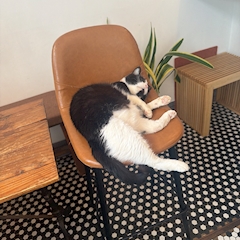 ひより