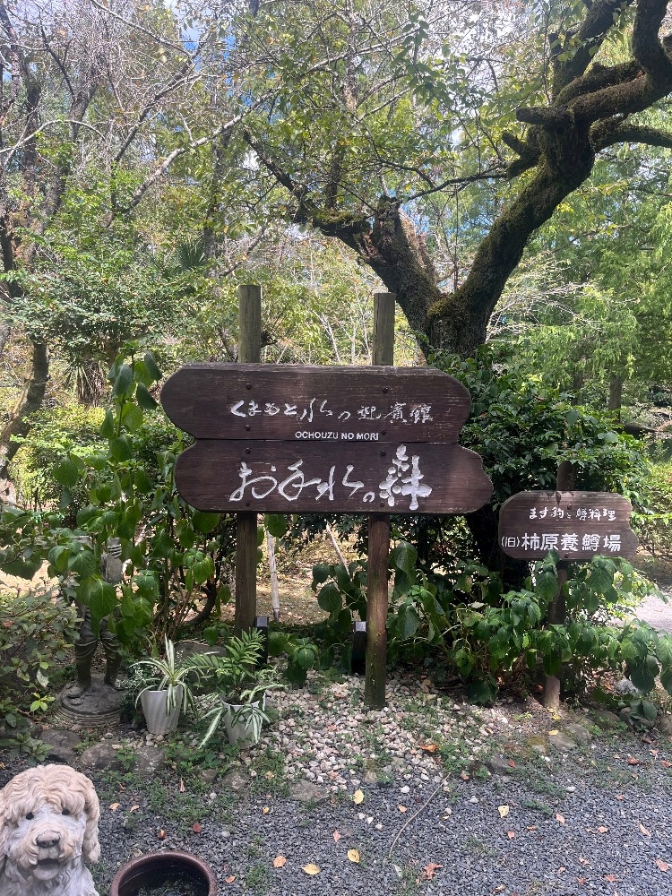 漢字って難しいよね^_ ̫ _^