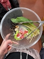 新着ブログ るんるん