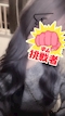 プロフィール写真1・きらり|Girl's Bar ORION・オリオン - 池袋西口のガールズバー
