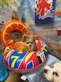 新着ブログ お休み