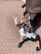プロフィール写真2・のあ|GIRLS BAR ALICE・アリス - 船橋のガールズバー