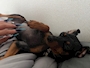 chiko