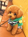 chiko