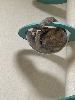 なぎ