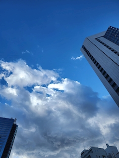 ユイ「本日21時から出勤しています！🧸」
