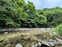 新着ブログ 🏞️