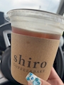 chiko