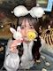 プロフィール写真1・あんな🍊巣鴨THREE｜GIRLS BAR THREE・スリー - 巣鴨のガールズバー