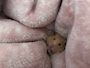 新着ブログ んー໒꒱· ゚