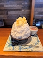 新着ブログ おやすみかき氷🐻❄️🍧