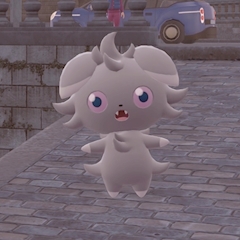 入店しました！🎀