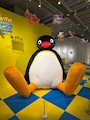 新着ブログ 🐧💕