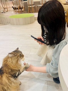 プロフィール写真2・しほ【AZURE LOUNGE】｜AZURE LOUNGE・アジュールラウンジ - 越谷のガールズバー