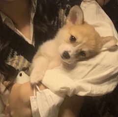 プロフィール写真1・あくあ|居酒屋×Snack じゃりんこ岡崎・ジャリンコ オカザキ - 岡崎のスナック