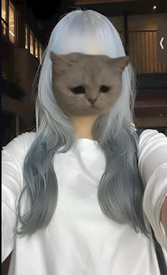 プロフィール写真1・ゆに｜cafe & bar はちみつ - 新宿のガールズバー