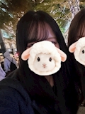 🐹もえか🐹