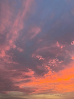 さな