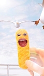 chiko