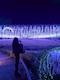 プロフィール写真1・ゆめか｜FEXIA・フェクシア - 柏駅 東口のキャバクラ