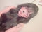 プロフィール写真1・金木 りま|MY HONEY・マイハニー - 東心斎橋のキャバクラ