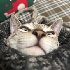 プロフィール写真2・ハチ｜RESORT STYLE TOKYO・リゾートスタイルトウキョウ - 巣鴨のガールズバー