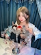 プロフィール写真4・リーナ｜Concept Cafe&Bar #青い春に恋をした。・アオイハルニコイヲシタ - 熊本市・下通りのコンカフェ