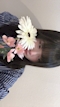プロフィール写真3・らお|cafe miuette・ミュエット - 新宿のコンカフェ