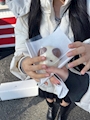 chiko