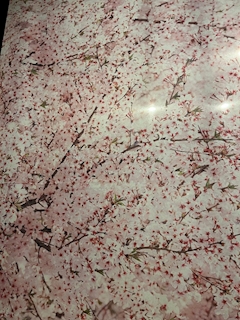 あいら「金曜日」