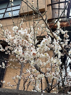 あいら「日曜日」