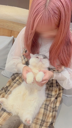 ゆき❄️アラジンシーシャ