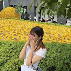 ポケパラ イチ推しキャスト ひまわり