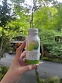 新着ブログ ⸜(*˙꒳˙*)⸝