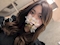 プロフィール写真2・めぐ|RAMBLING ROSE・ランブリングローズ - 国分町のスナック