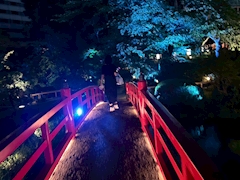 プロフィール写真3・あき🍁🍂|Girl's Bar ハニーラビット・ハニーラビット - 桜上水のガールズバー