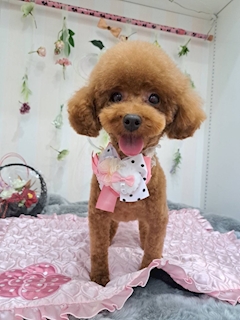 プロフィール写真1・れいな｜RiRi・リリ - 赤羽のガールズバー